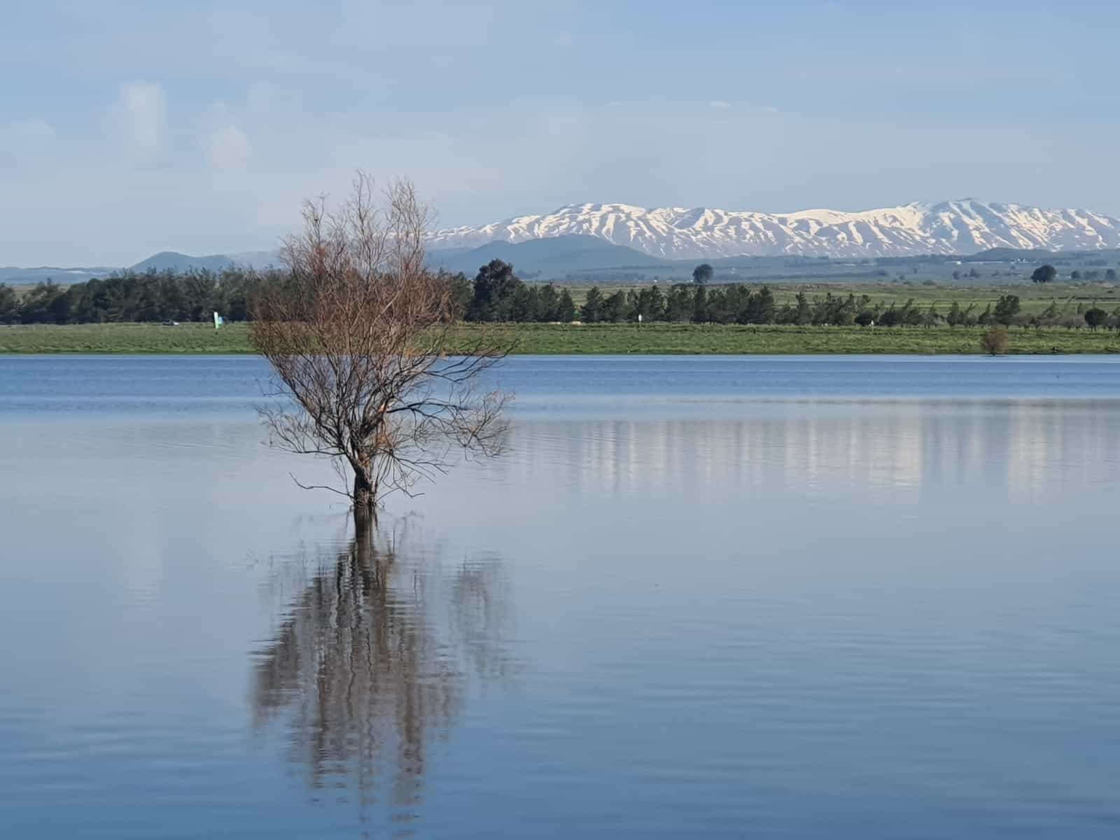 פסגות החרמון המושלגות