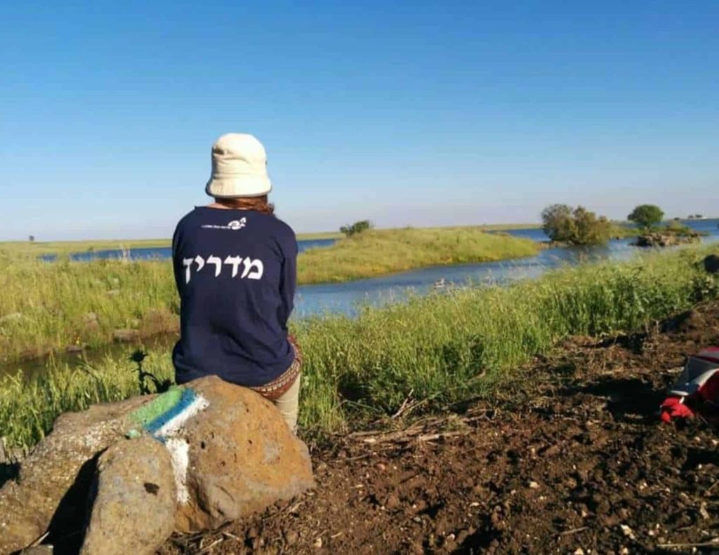 חבילות לינה ותוכן בצפון