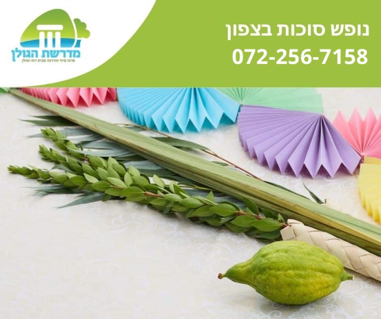 נופש סוכות בצפון
