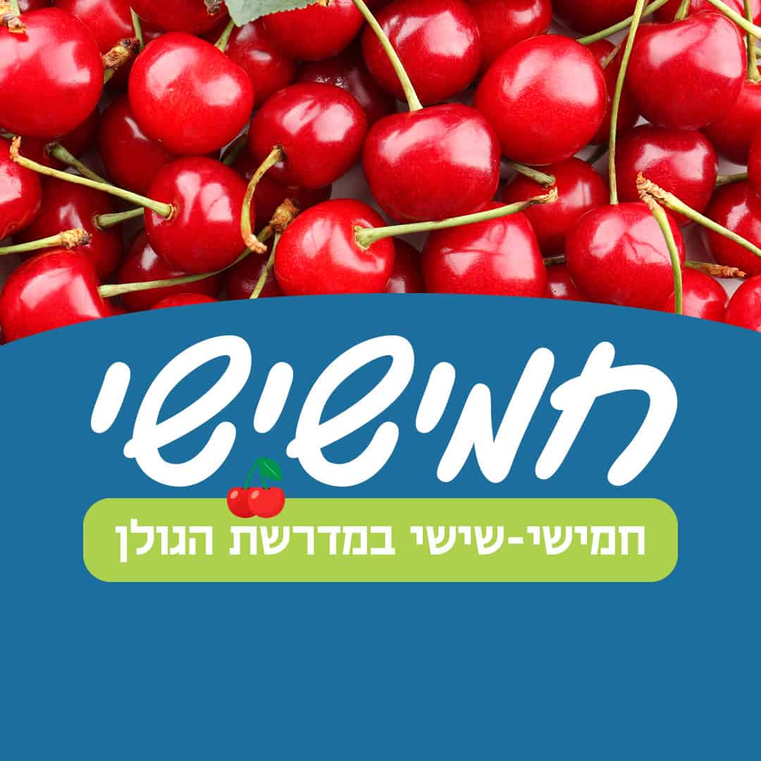 לינה, סיור, קטיף דובדבנים