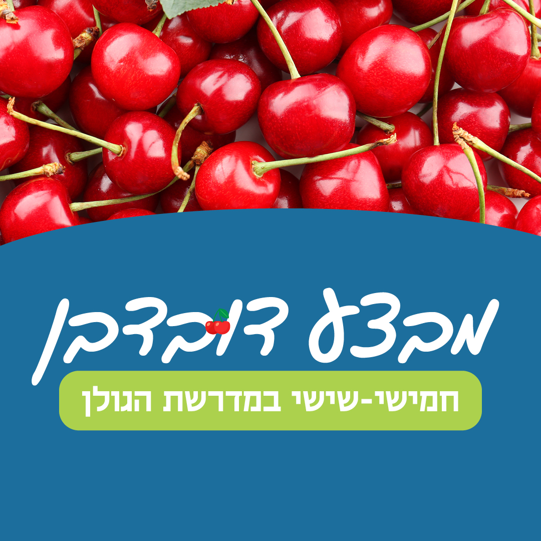 מבצע דובדבן - קטיף דובדבנים