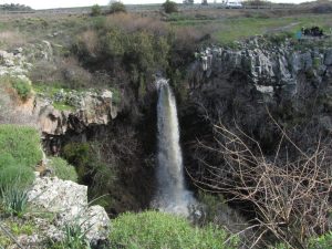 מפל עיט
