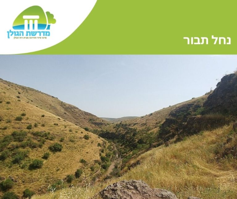 נחל תבור