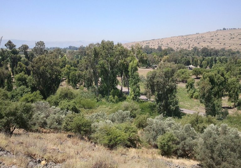 נוף שמורת מג'רסה