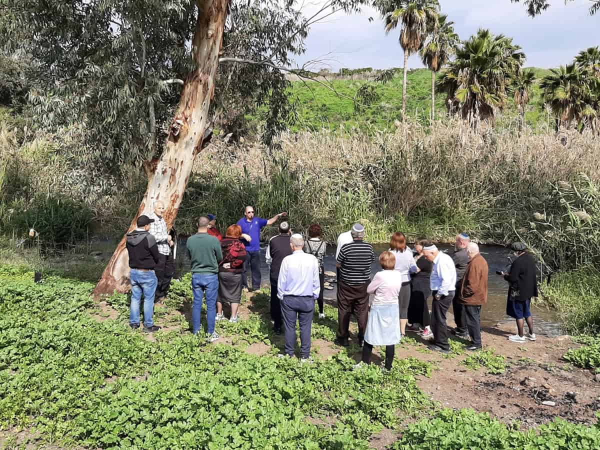 תמונה ראשית לאתר הארץ הטובה2